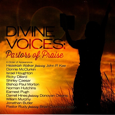 Various Artists - Divine Voices: Pastors Of Praise in der Gruppe CD bei Bengans Skivbutik AB (3213996)