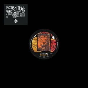 Pictish Trail - Who's Comin' In? in der Gruppe VINYL bei Bengans Skivbutik AB (3217532)