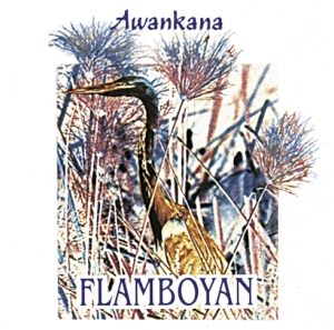 Awankana - Flamboyan in der Gruppe CD bei Bengans Skivbutik AB (3218431)
