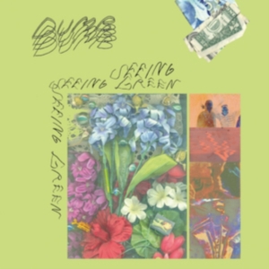 Dumb - Seeing Green in der Gruppe CD bei Bengans Skivbutik AB (3221797)