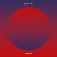 Hole Trio - Encounters in der Gruppe CD / Jazz bei Bengans Skivbutik AB (3221860)