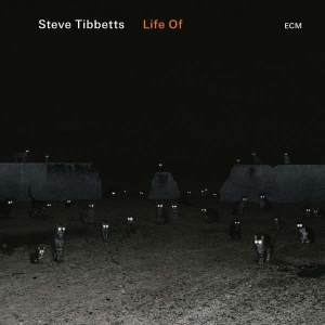 Steve Tibbetts - Life Of in der Gruppe Externt_Lager / Naxoslager bei Bengans Skivbutik AB (3223581)