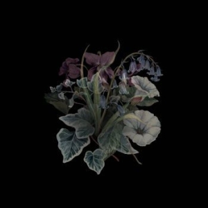 Nhor - Wildflowers (2 Lp Black Vinyl) in der Gruppe VINYL bei Bengans Skivbutik AB (3224204)