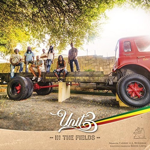 Unit 3 - In The Fields in der Gruppe CD / Bestseller bei Bengans Skivbutik AB (3224988)
