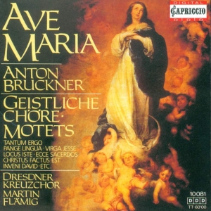A.Bruckner Motetten in der Gruppe CD bei Bengans Skivbutik AB (3226972)