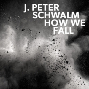 Schwalm J.Peter - How We Fall in der Gruppe VINYL bei Bengans Skivbutik AB (3227679)