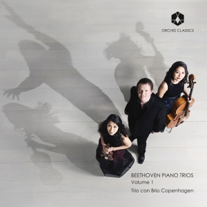 Trio Con Brio Copenhagen - Beethoven Piano Trios Volume 1 in der Gruppe Externt_Lager / Naxoslager bei Bengans Skivbutik AB (3228591)