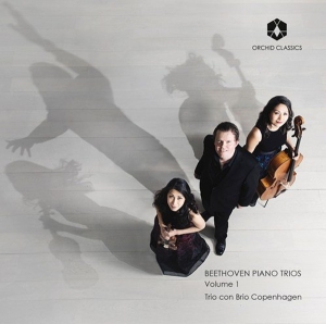 Trio Con Brio Copenhagen - Beethoven Piano Trios Volume 1 in der Gruppe CD bei Bengans Skivbutik AB (3228591)