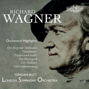 Wagner Richard - Orchestral Highlights in der Gruppe CD bei Bengans Skivbutik AB (3231090)
