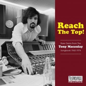 Various Artists - Reach The Top! (Rare Gems From The in der Gruppe CD bei Bengans Skivbutik AB (3234422)