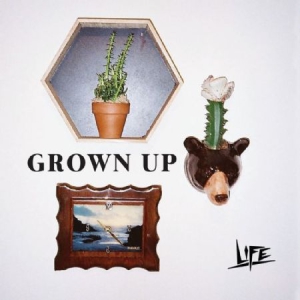 Life - Grown Up in der Gruppe VINYL bei Bengans Skivbutik AB (3236272)