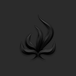 Bury Tomorrow - Black Flame in der Gruppe VINYL bei Bengans Skivbutik AB (3236650)