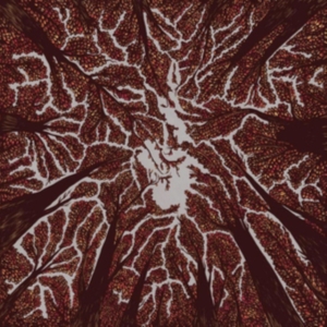 Trash Boat - Crown Shyness in der Gruppe CD bei Bengans Skivbutik AB (3249013)