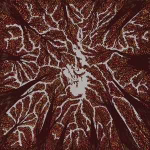Trash Boat - Crown Shyness in der Gruppe CD bei Bengans Skivbutik AB (3249013)