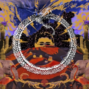 Stone House On Fire - Neverending Cycle - Ltd.Ed. in der Gruppe VINYL bei Bengans Skivbutik AB (3249273)