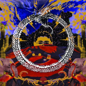 Stone House On Fire - Neverending Cycle in der Gruppe VINYL bei Bengans Skivbutik AB (3249274)