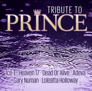 Various Artists - Tribute To Prince in der Gruppe CD bei Bengans Skivbutik AB (3250540)