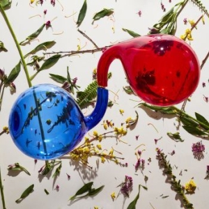 Dirty Projectors - Lamp Lit Prose in der Gruppe CD bei Bengans Skivbutik AB (3250678)