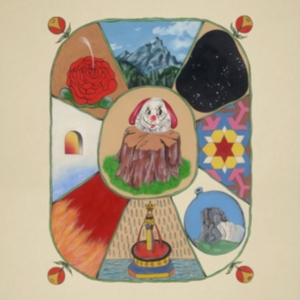 White Denim - Performance (Ltd Clear Vinyl) in der Gruppe VINYL / Pop-Rock bei Bengans Skivbutik AB (3255419)