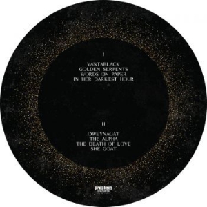 Dool - Here Now, There Then (Picture Disc) in der Gruppe VINYL bei Bengans Skivbutik AB (3255453)