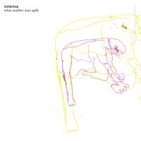 Lambchop - What Another Man Spills (Ltd Gold & Clear Vinyl) in der Gruppe VINYL bei Bengans Skivbutik AB (3264224)