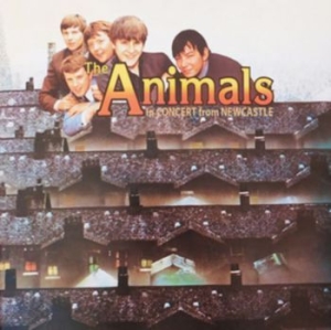 Animals - In Concert From Newcastle 1963 in der Gruppe Minishops / Animals bei Bengans Skivbutik AB (3264665)
