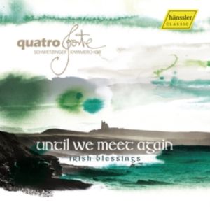 Various - Until We Meet Again: Irish Blessing in der Gruppe Externt_Lager / Naxoslager bei Bengans Skivbutik AB (3265329)