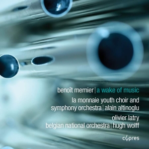 Mernier Benoit - A Wake Of Music in der Gruppe CD bei Bengans Skivbutik AB (3266790)