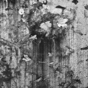 K. Leimer - Threnody in der Gruppe CD bei Bengans Skivbutik AB (3267253)