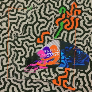Animal Collective - Tangerine Reef in der Gruppe VINYL bei Bengans Skivbutik AB (3299018)