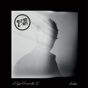 Doyle Bramhall Ii - Shades in der Gruppe VINYL bei Bengans Skivbutik AB (3304676)