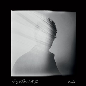 Doyle Bramhall Ii - Shades in der Gruppe CD / Rock bei Bengans Skivbutik AB (3305161)