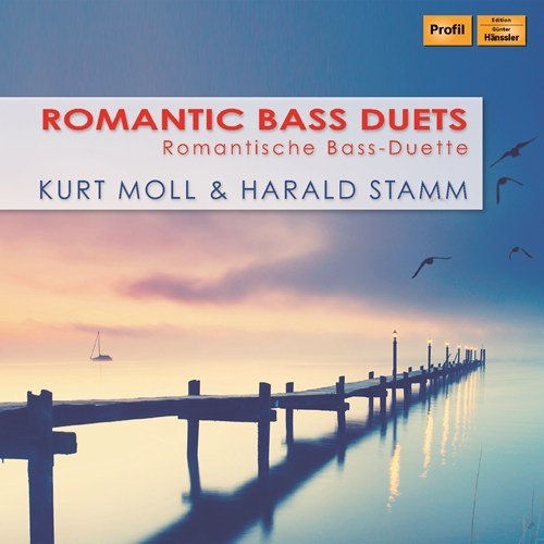 Various - Romantic Bass Duets in der Gruppe CD / Bestseller bei Bengans Skivbutik AB (3307152)