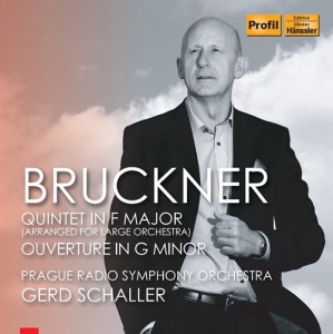 Bruckner Anton - String Quintet (Orch. Gerd Schaller in der Gruppe CD bei Bengans Skivbutik AB (3307153)