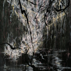 Sumac - Love In Shadow in der Gruppe CD bei Bengans Skivbutik AB (3307690)