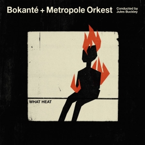 Bokante - What Heat in der Gruppe VINYL bei Bengans Skivbutik AB (3307715)