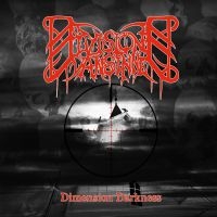Division Vansinne - Dimension Darkness in der Gruppe CD bei Bengans Skivbutik AB (3308079)