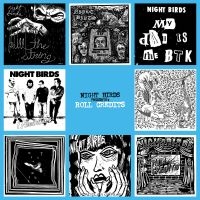 Night Birds - Roll Credits (Vinyl Lp) in der Gruppe VINYL / Pop-Rock bei Bengans Skivbutik AB (3309508)