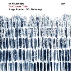 Maestro Shai Roeder Jorge Nehem - The Dream Thief (Lp) in der Gruppe VINYL bei Bengans Skivbutik AB (3310358)