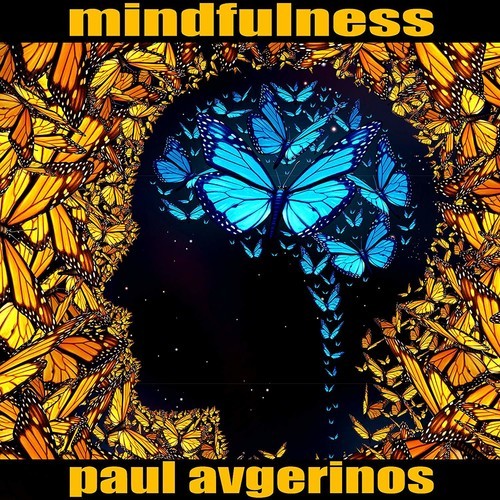 Paul Avgerinos - Mindfulness in der Gruppe CD / Pop bei Bengans Skivbutik AB (3310829)