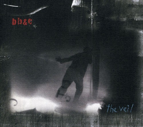 Nels Cline Tim Berne & Jim Black - The Veil in der Gruppe CD / Jazz/Blues bei Bengans Skivbutik AB (3311419)