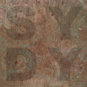 Shiny Darkly - Bronze in der Gruppe VINYL bei Bengans Skivbutik AB (3312407)