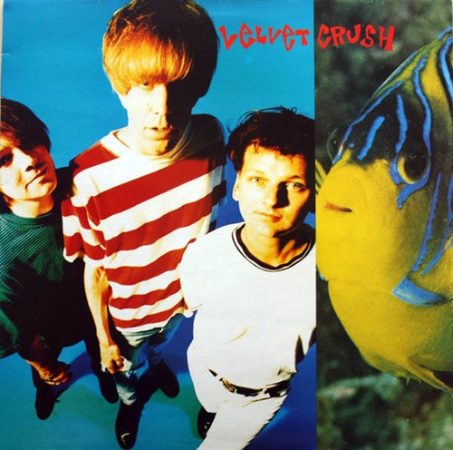 Velvet Crush - In The Presence Of Greatness in der Gruppe VINYL / Rock bei Bengans Skivbutik AB (3322290)