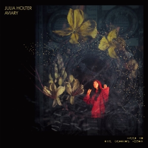 Julia Holter - Aviary in der Gruppe UNSERE TIPPS / Bäst Album Under 10-talet / Bäst Album Under 10-talet - Pitchfork bei Bengans Skivbutik AB (3322691)
