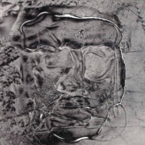 How To Dress Well - The Anteroom in der Gruppe VINYL bei Bengans Skivbutik AB (3322693)