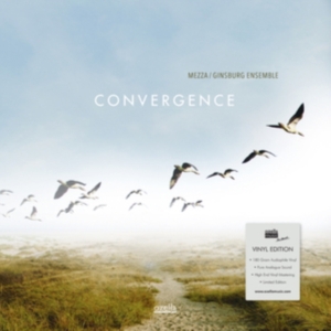 Mezza/Ginsburg Ensemble - Convergence in der Gruppe CD bei Bengans Skivbutik AB (3323370)