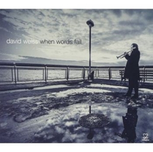Weiss David - When Words Fail in der Gruppe CD bei Bengans Skivbutik AB (3334939)