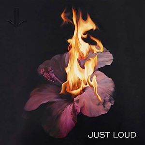 Just Loud - Just Loud in der Gruppe Rock bei Bengans Skivbutik AB (3337643)