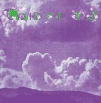 Third Ear Band - Elements 1970-1971 in der Gruppe CD / Rock bei Bengans Skivbutik AB (3338274)