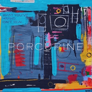 Porcupine - What You've Heard Isn't Real in der Gruppe CD / Pop-Rock bei Bengans Skivbutik AB (3339815)